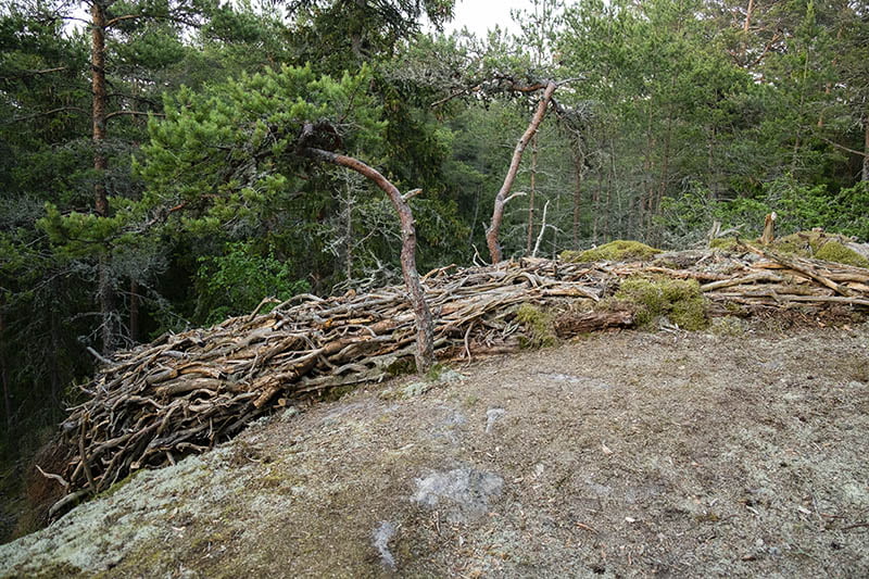 Kimmo Ylönen Material Flow Barefoot Path 2021