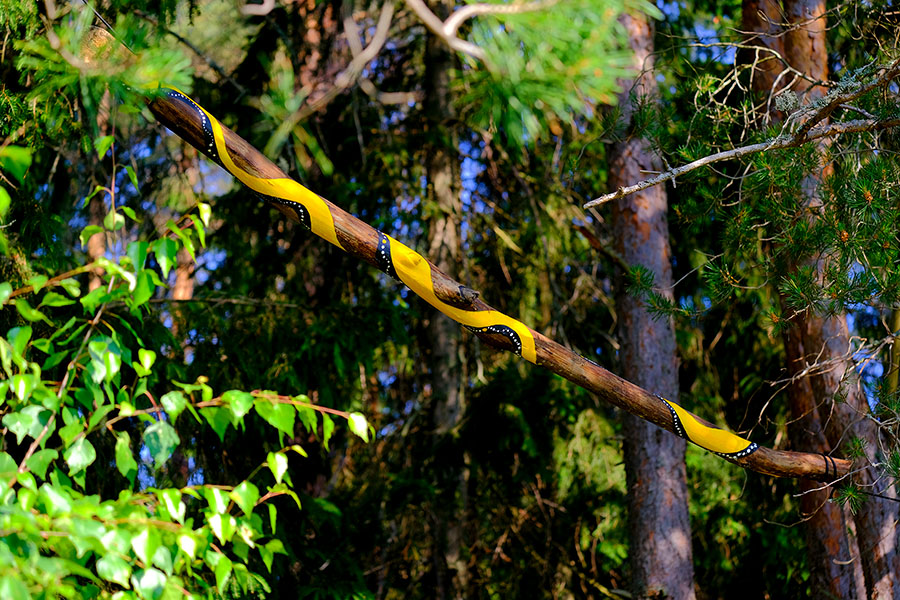 A bright yellow artwork painted on a wood piece hung between the trees by Jessica Koivistoinen work for Barefoot Path 2022