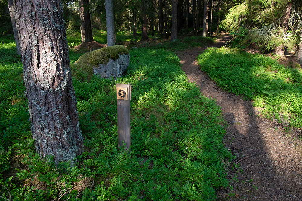 A path in the forest and a Barefoot Path sign